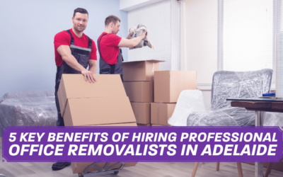 5 Key Benefits of Hiring Professional Office Removalists in Adelaide